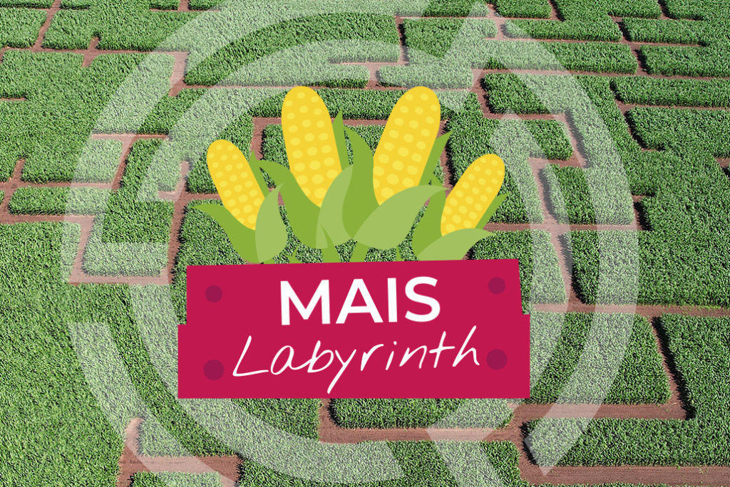 Maislabyrinth Kirchhellen
