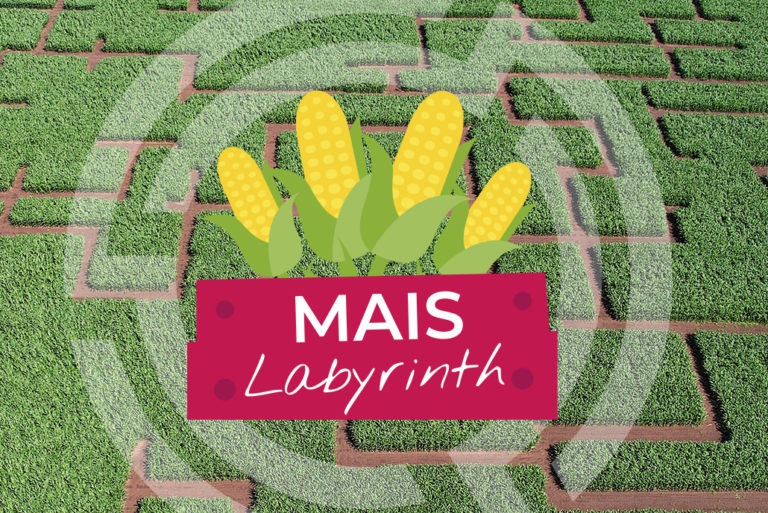 Maislabyrinth Kirchhellen